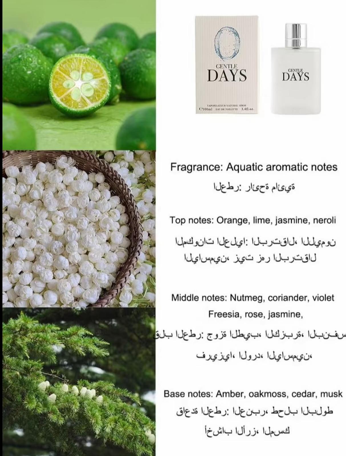 GENTLE DAYS Aquatic Aromatic Perfume 100 ML Christmas Gift Eau de Toilette Natural Spray 3.4 fl oz